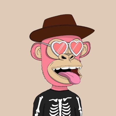 kasperholt's profile picture. Always bullish 🚀