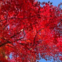 ゆうと (@yuto4_19m) Twitter profile photo