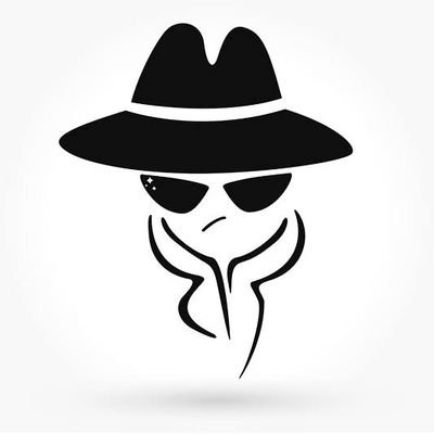 Developer / Communications Manager / Programmer