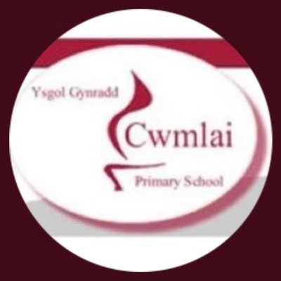 Cwmlai Primary Profile
