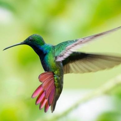 k0libr1's profile picture. 