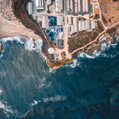 man_logic_'s profile picture. 