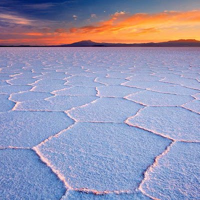 Flo21200's profile picture. 