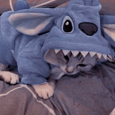 0xfluential's profile picture. 