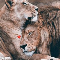 ceyla (@ceyla09119652) Twitter profile photo