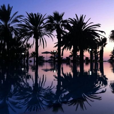 Night Reels (@NightReels) | Twitter