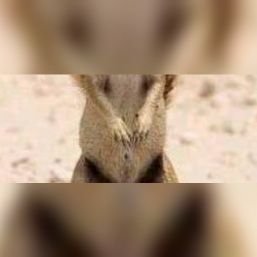 lucho19808's profile picture. Soy Real y mi única mision es luchar por  REVOCAR AL ALCALDE QUINTERO, NO VOTAR POR PETRO NI PACTO HISTORICO.