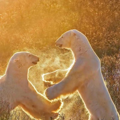 Max69972688's profile picture. 