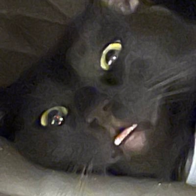 smallest_pawn's profile picture. former stock trader turned crypto , half cex half degen