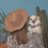 hacci_six_snow's profile image