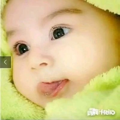 AladdinZeda's profile picture. 