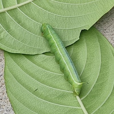 DataKey12's profile picture. 