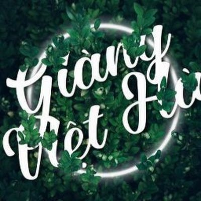 GingVitH2's profile picture. 295f101f948bcc1d1b50bca25e570192