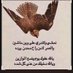 ابو عبدالرحمن الاحمري (@saalahmari40901) Twitter profile photo ابو عبدالرحمن الاحمري (@saalahmari40901) Twitter profile photo