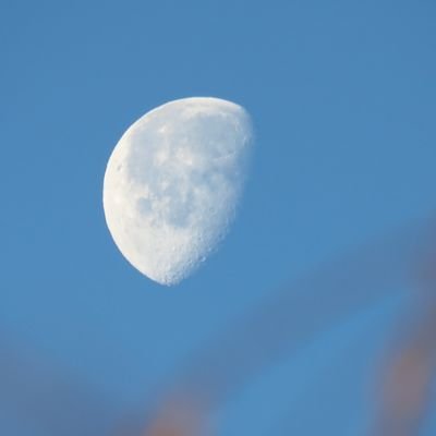 attidmar's profile picture. 