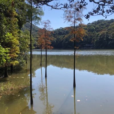 alexwoo1231's profile picture. 