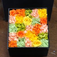 えんちゃん (@bz_3811) 's Twitter Profile Photo