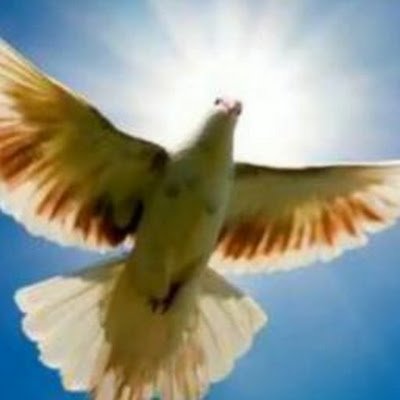 G12M8's profile picture. 