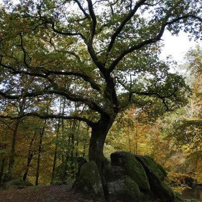 LilouLa71's profile picture. Serions-nous de ceux qui résistent ou bien les moutons d'un troupeau, s'il fallait plus que des mots ? JJG