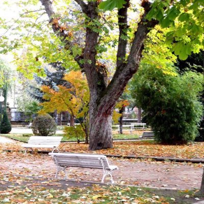 lafuentef00's profile picture. 