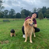 David J. Kim (@davidjkim96) 's Twitter Profile Photo David J. Kim (@davidjkim96) 's Twitter Profile Photo