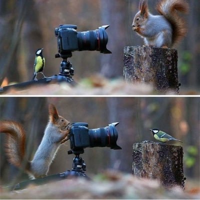 Keithmaillasse's profile picture. Be the change you want to see.