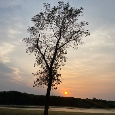 mobleyalex10's profile picture. 