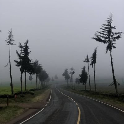 jimmyjaymz1's profile picture. 🤪