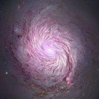 Noor (@stringpathology) 's Twitter Profile