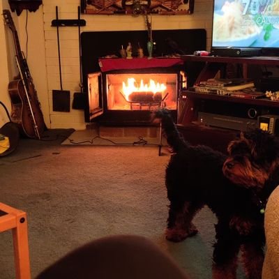 KvingeinSeatown's profile picture. NW woman living the northwet dream. Multi layered weirdo... I ❤️ the Seattle Storm! They're why I'm on the Twitter...