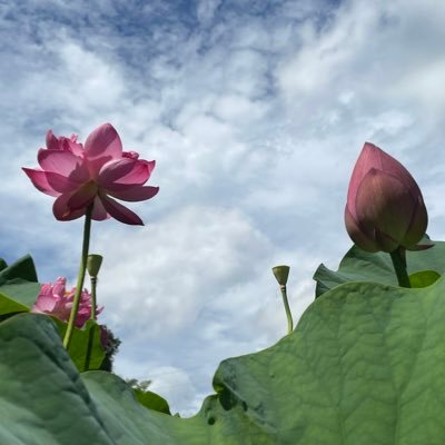 千さんのプロフィール画像