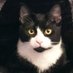 Claudio mai distrarsi .. 🐈⬛ (@claudio18709041) Twitter profile photo Claudio mai distrarsi .. 🐈⬛ (@claudio18709041) Twitter profile photo