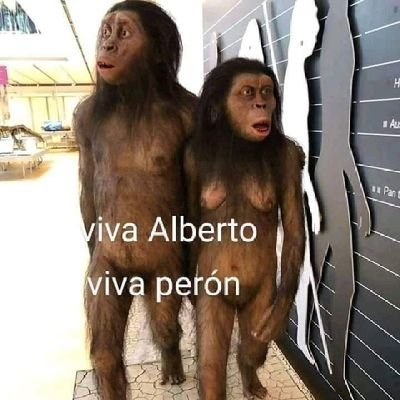 fadesso1's profile picture. No hay peor basura que un kirchnerista.