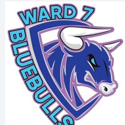 Blue Bulls Youth Program is dedicated to providing the safest & highest quality tackle football/Track/Boxing/Flag Football/Cheer & Dance/Mentoring/Tutor/etc