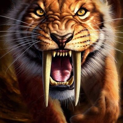 ImranKh44301644's profile picture. IMRAN Khan