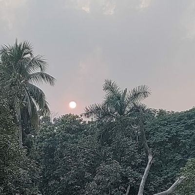 DonotGiveItAway's profile picture. sde intern abt to rant
100dayofyoga