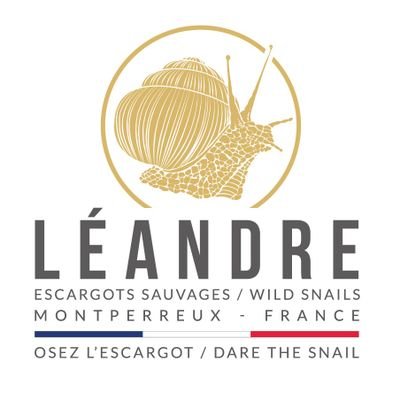 Hand picked wild snails. From France mountains. Previously  slobbery and slow. Now tasty. Free shipping worldwide.  Bon appétit ! 🐌🤪❤