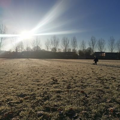 Youri_B's profile picture. 