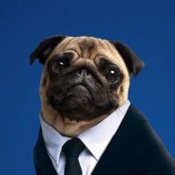 Nidjomania's profile picture. Just Another Person
