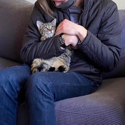 GracieIsLarge's profile picture.