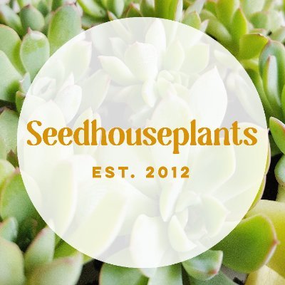 ♢Based within the hills of Saddleworth, England.  ♢We specialise in Succulents // Houseplants // Stylish Gifts
