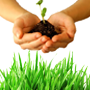 Gentry Home and Gardens specializes in landscape design and construction and home renovations and repairs in Central Ohio.