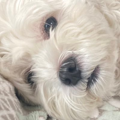 genie2022_'s profile picture. Hello