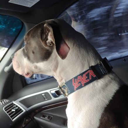 cr125mx546's profile picture. moto, metal, snowboarding and football and all things awesome