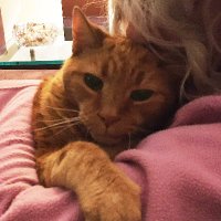 IMA❤️GINA😸TION (@palazzodesign) 's Twitter Profile Photo IMA❤️GINA😸TION (@palazzodesign) 's Twitter Profile Photo
