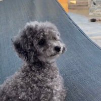 nycsneaks23 (@nycsneaks23) 's Twitter Profile