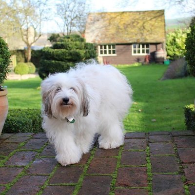 Angmyers3's profile picture. 