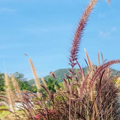 oumka123's profile picture. 