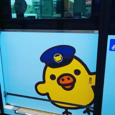 HNTP8MtkPcvb0VZ's profile picture. Cat