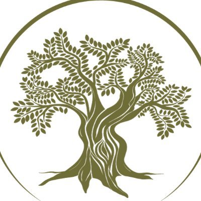 PVKontis's profile picture. 